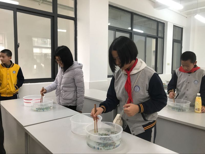 QQ图片20171230165605.jpg